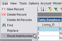 AutoNumber Reset in Datasheet