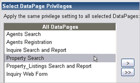 One-Click DataPage Privileges