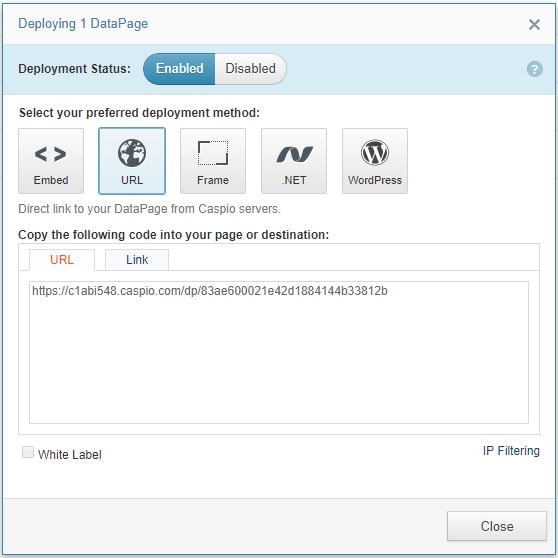 Screenshot of the “Deploying 1 DataPage” menu. It is opened at the “URL” section. 