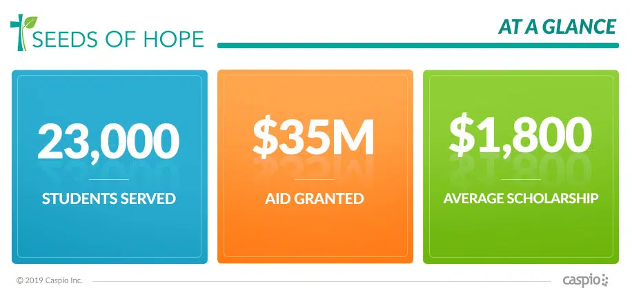 Non-Profit-Seeds-of-Hope-at-a-Glance